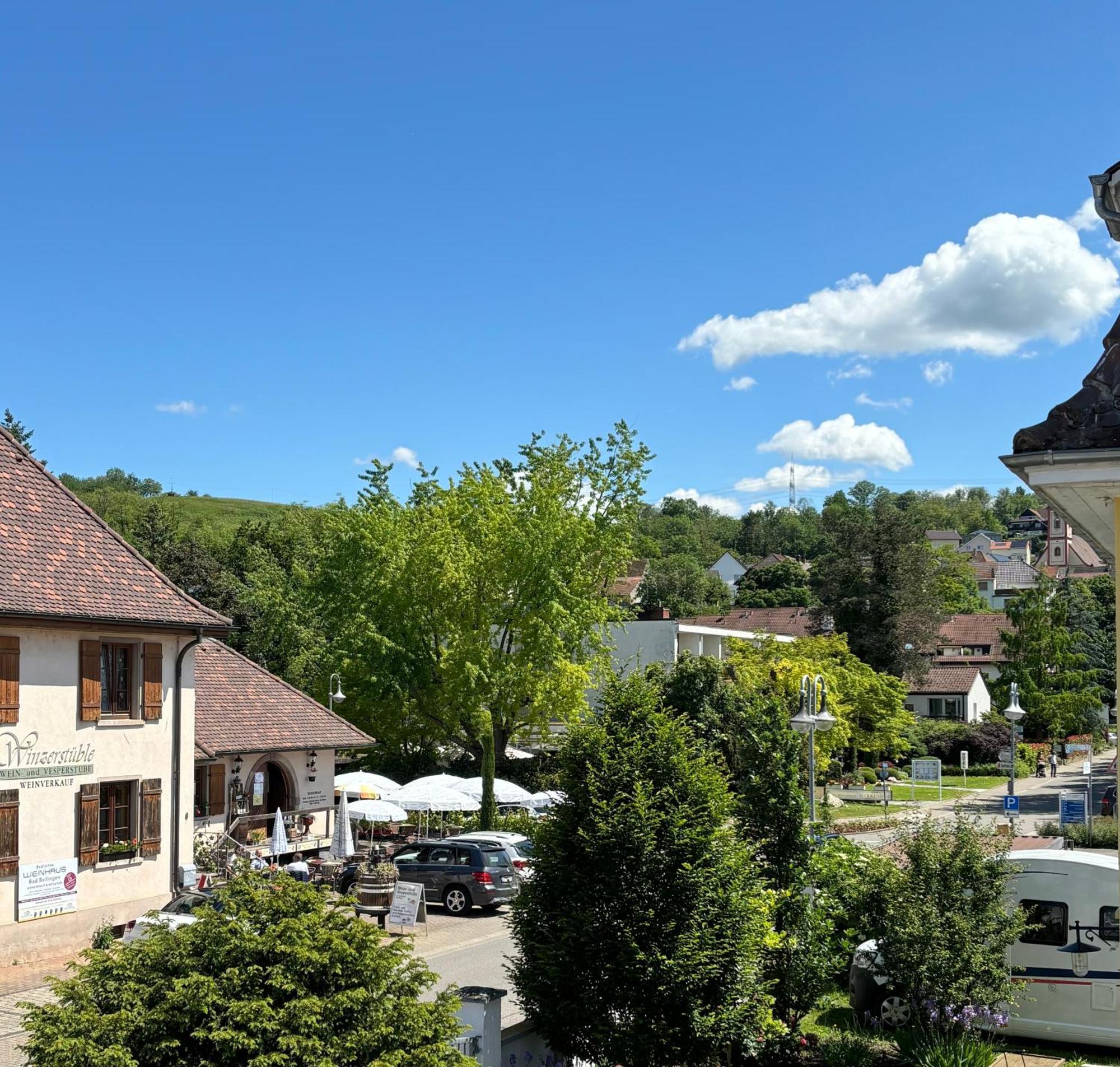 Gesamte Wohnung, Kueche, Parkplatz, Terrasse Bad Bellingen Exteriör bild