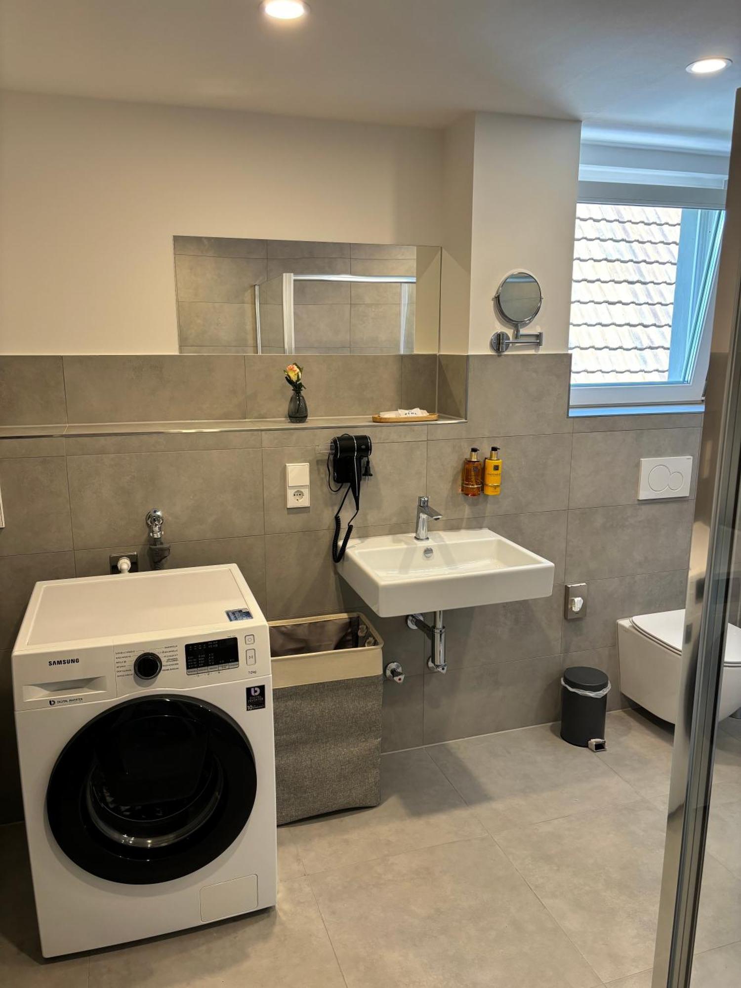 Gesamte Wohnung, Kueche, Parkplatz, Terrasse Bad Bellingen Exteriör bild