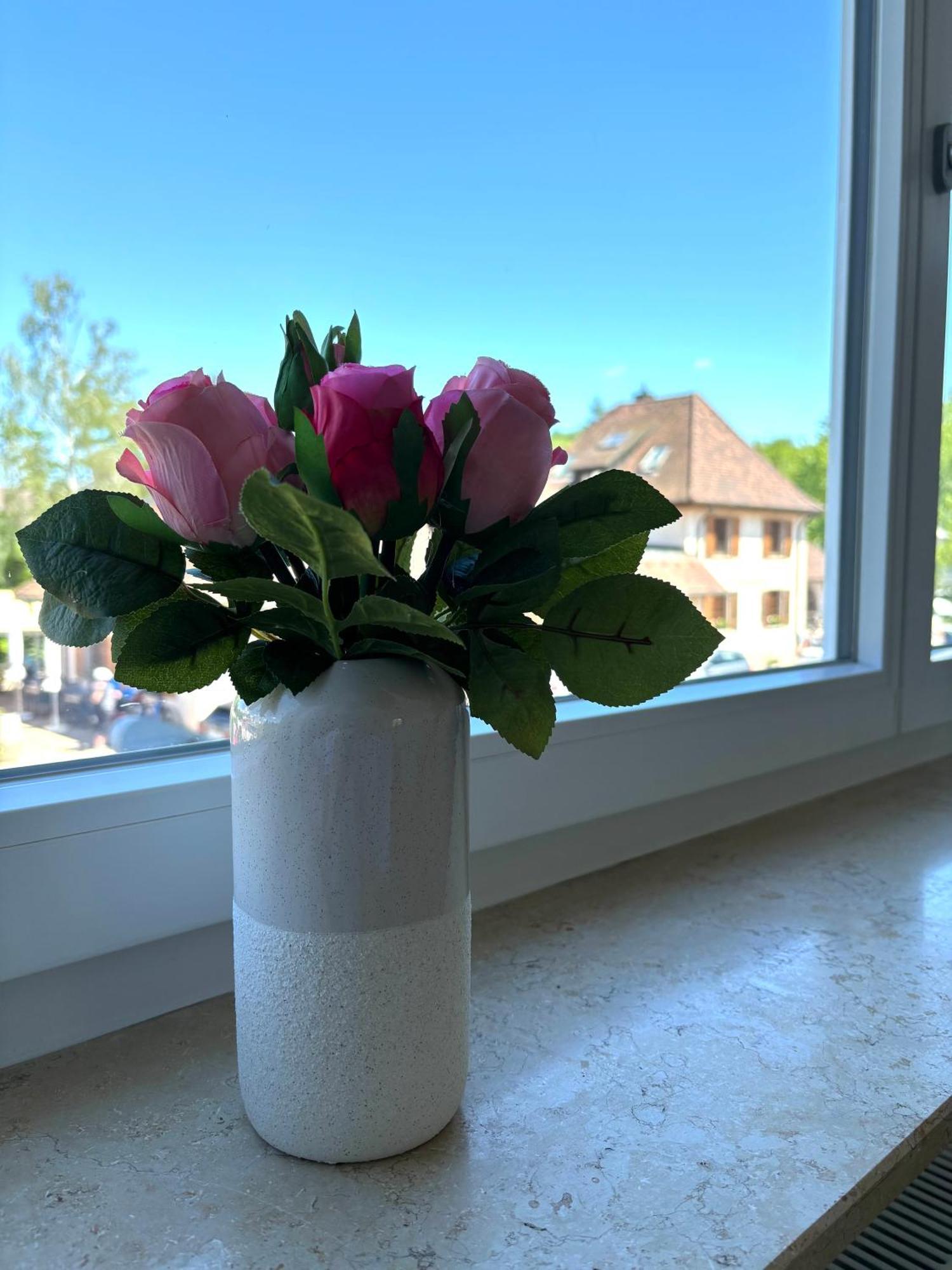 Gesamte Wohnung, Kueche, Parkplatz, Terrasse Bad Bellingen Exteriör bild