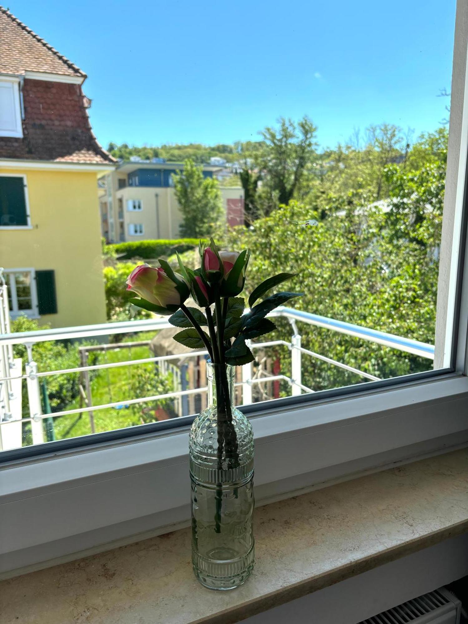 Gesamte Wohnung, Kueche, Parkplatz, Terrasse Bad Bellingen Exteriör bild