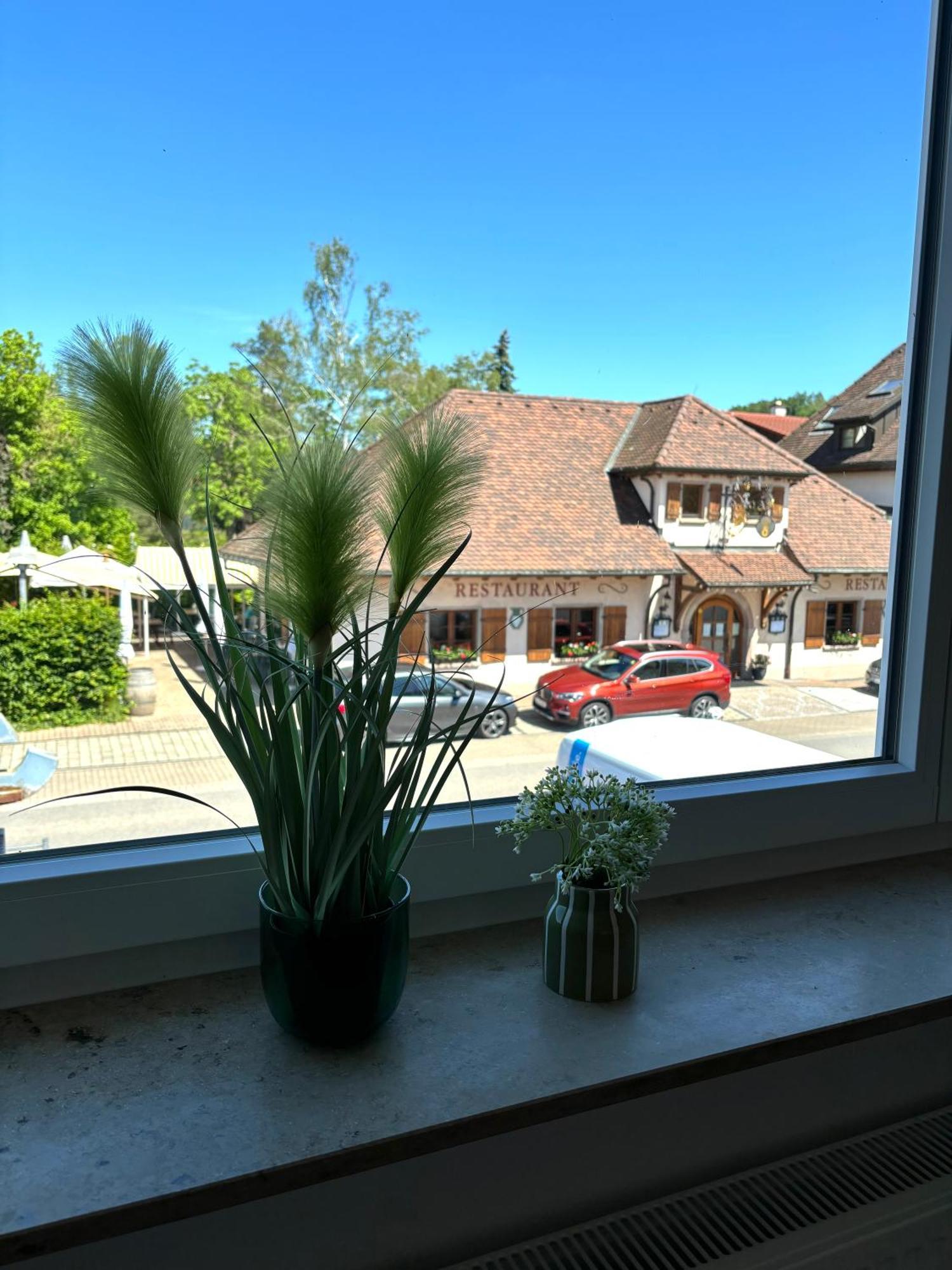 Gesamte Wohnung, Kueche, Parkplatz, Terrasse Bad Bellingen Exteriör bild
